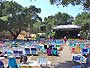 Live-Oak-Music-Festival,whe