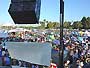 Live-Oak